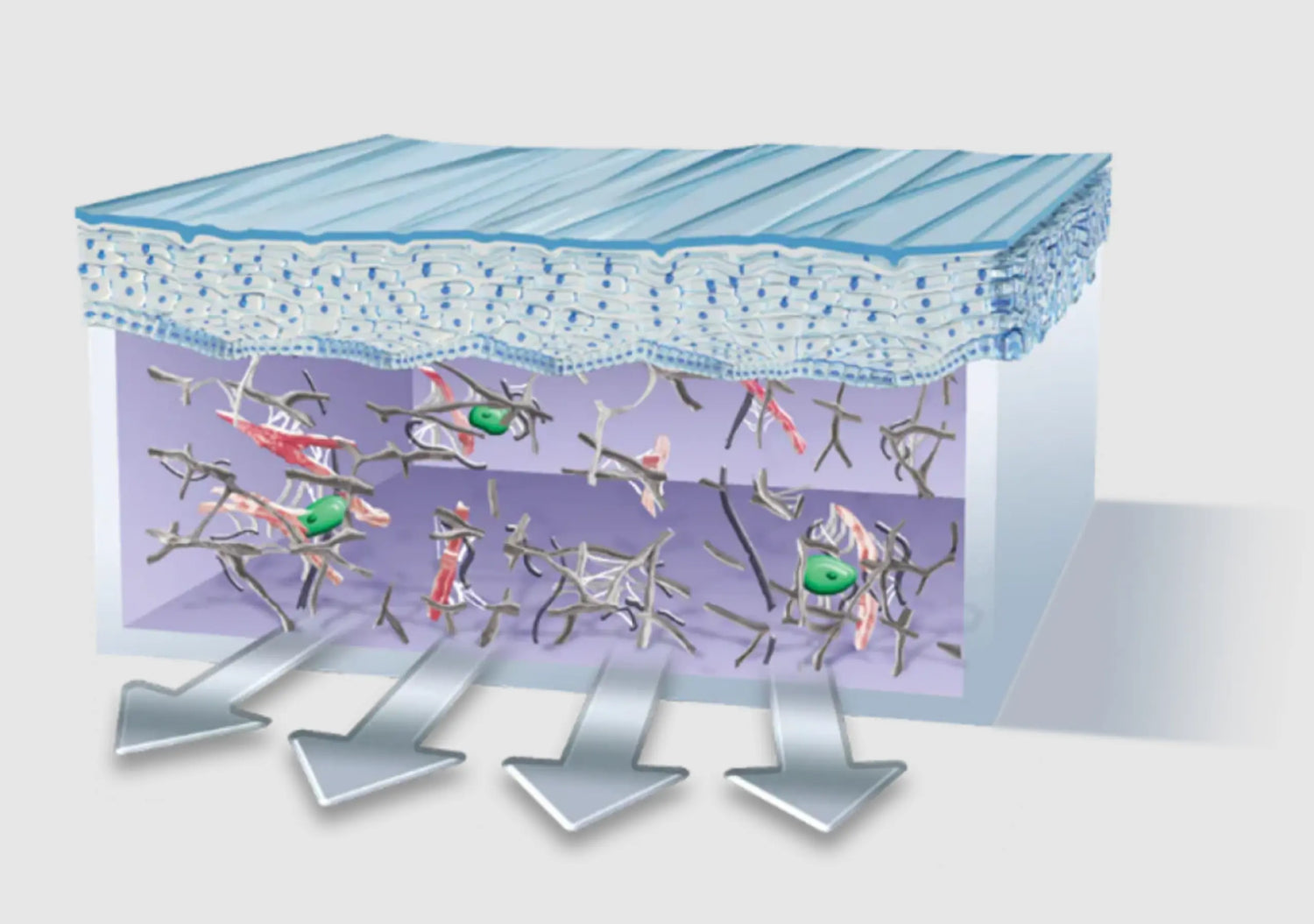 Antioxidant-rich retinol serum protects against environmental stress and aging