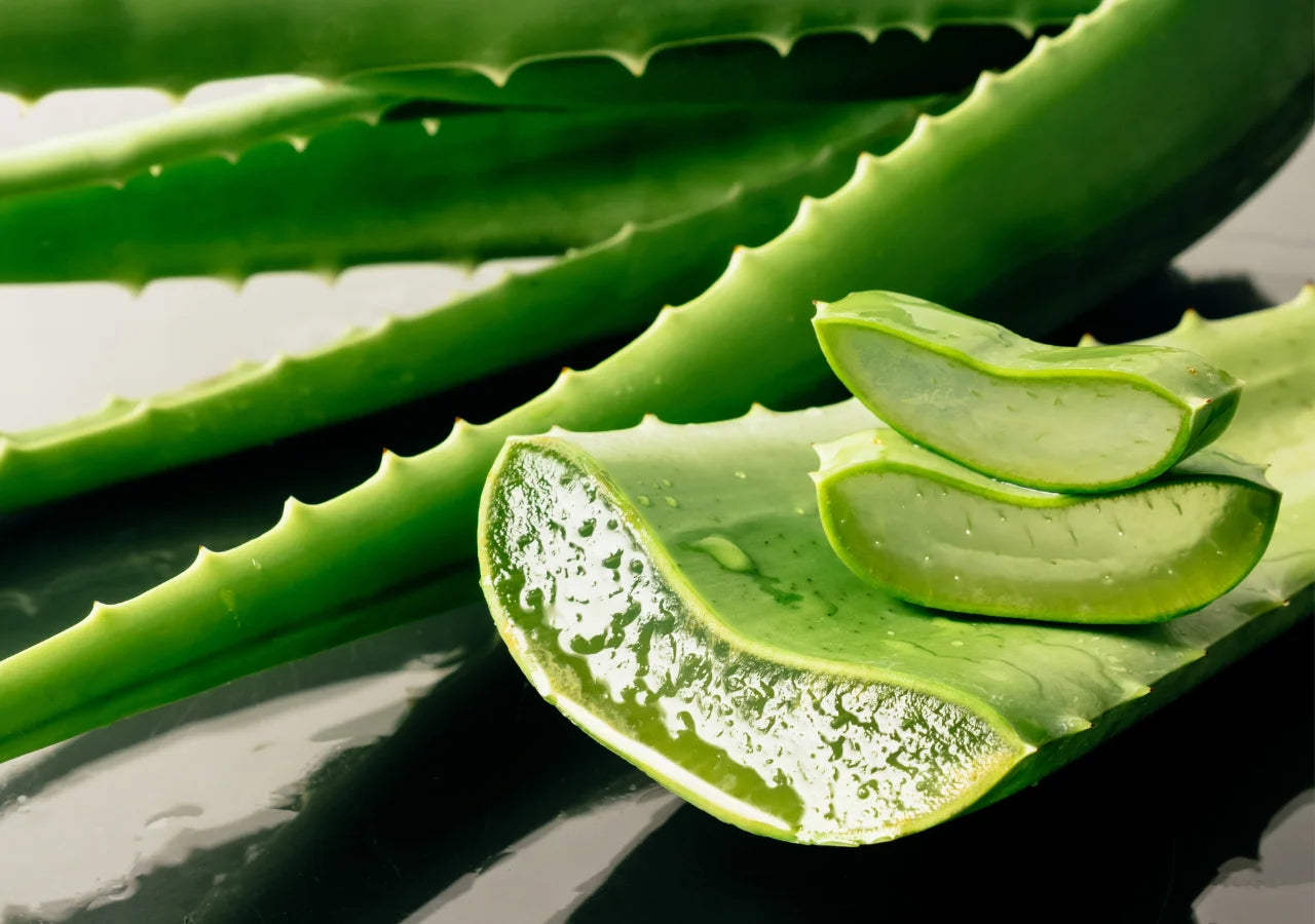 Comfort Cream with Aloe Vera provides potent healing benefits, soothing irritated skin and promoting faster recovery.