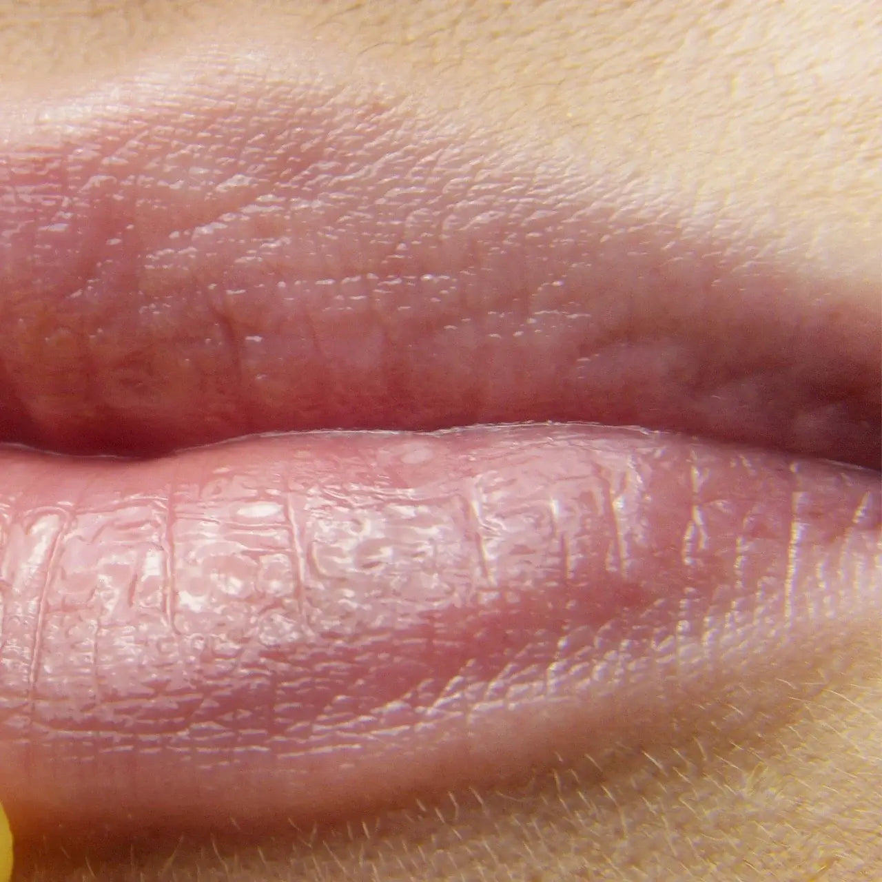 Green Envee Calm Lip Balm protects lips naturally from dryness and environmental stressors.