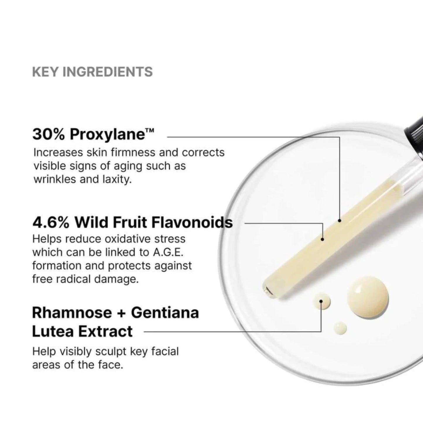 SkinCeuticals AGE Interrupter Ultra Serum Key Ingredients