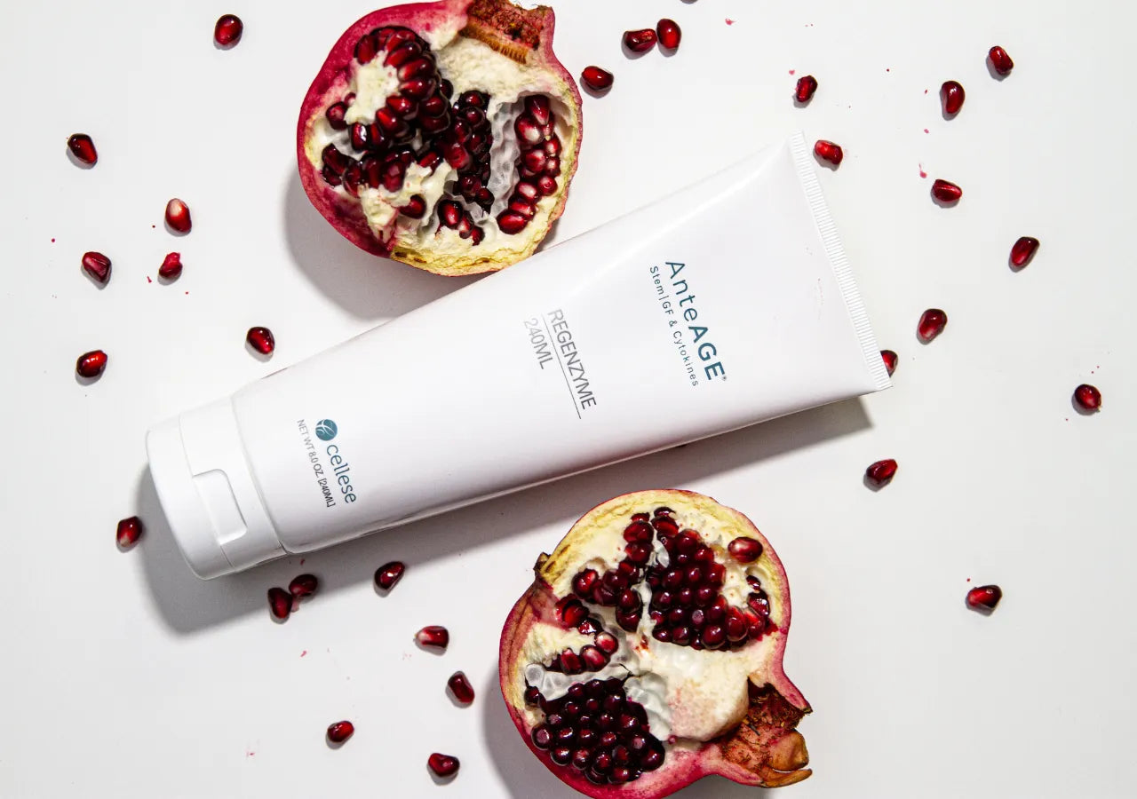 AnteAGE Regenzyme product image, a gentle non-acid exfoliant with botanical enzymes, anti-inflammatory ingredients, and antioxidants for radiant skin.